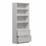 stellazh-1-003009